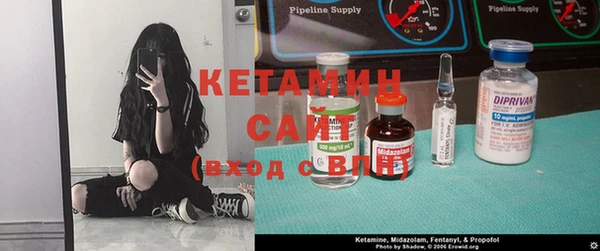 индика Киреевск