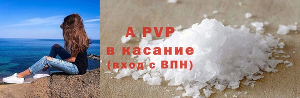 индика Киреевск
