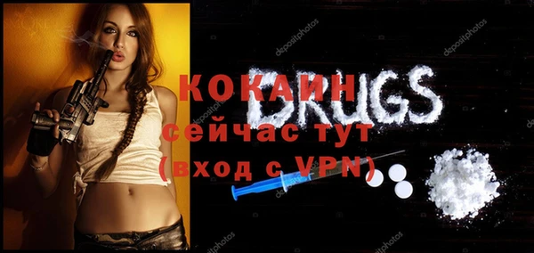индика Киреевск