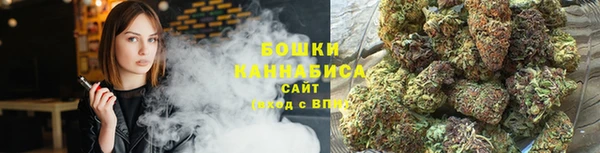 индика Киреевск