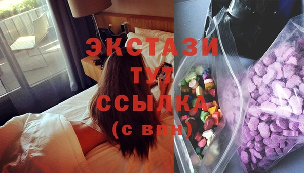 индика Киреевск