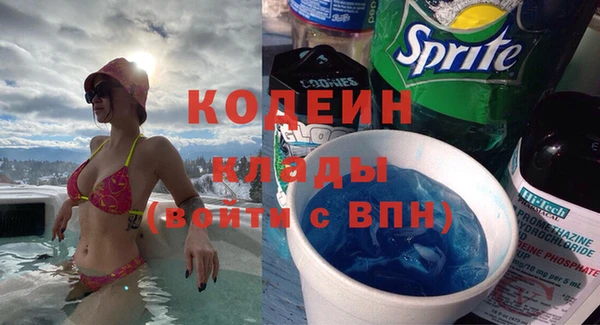 индика Киреевск