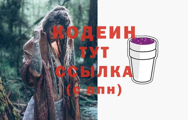 индика Киреевск
