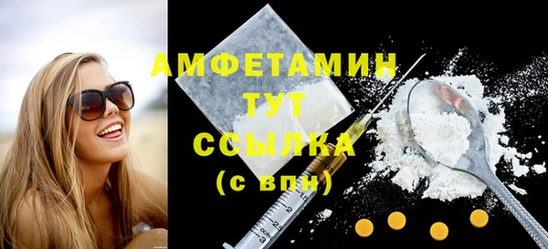 индика Киреевск