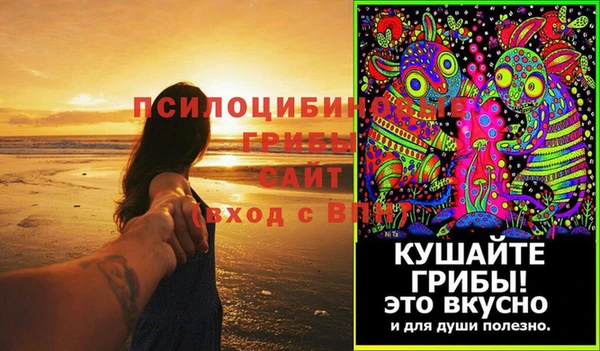 мдпв Киренск