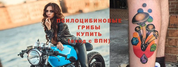синтетический гашиш Карпинск